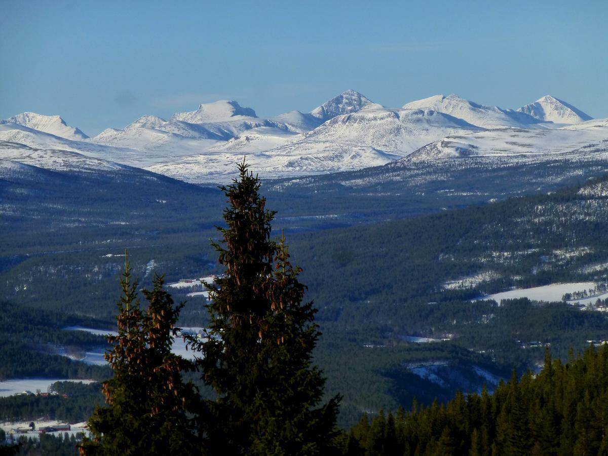 Tronsvangen Seter Alvdal エクステリア 写真